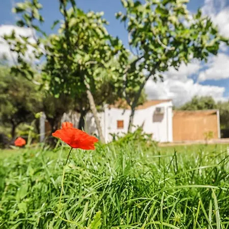 Charming Hideaway Self Check-in - Accesso Autonomo Alghero