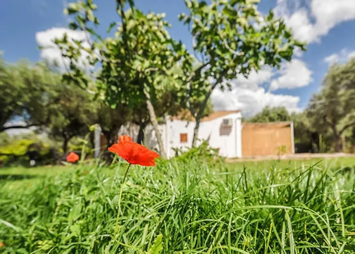 Charming Hideaway Self Check-in - Accesso Autonomo Alghero